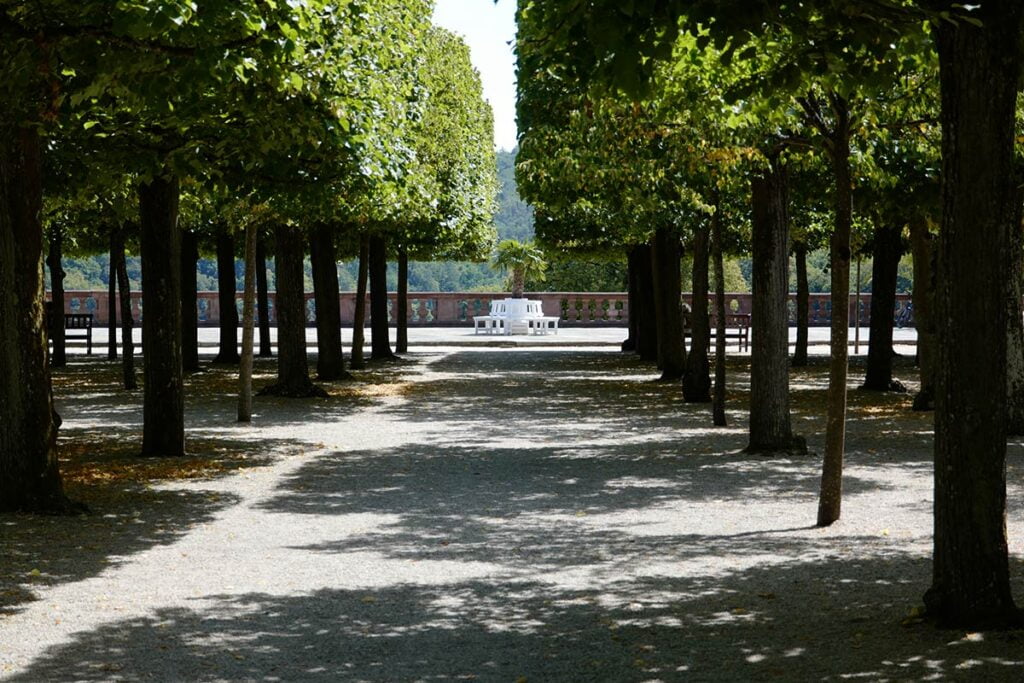 Günstige Leica Kamera, für Aufnahmen im Park