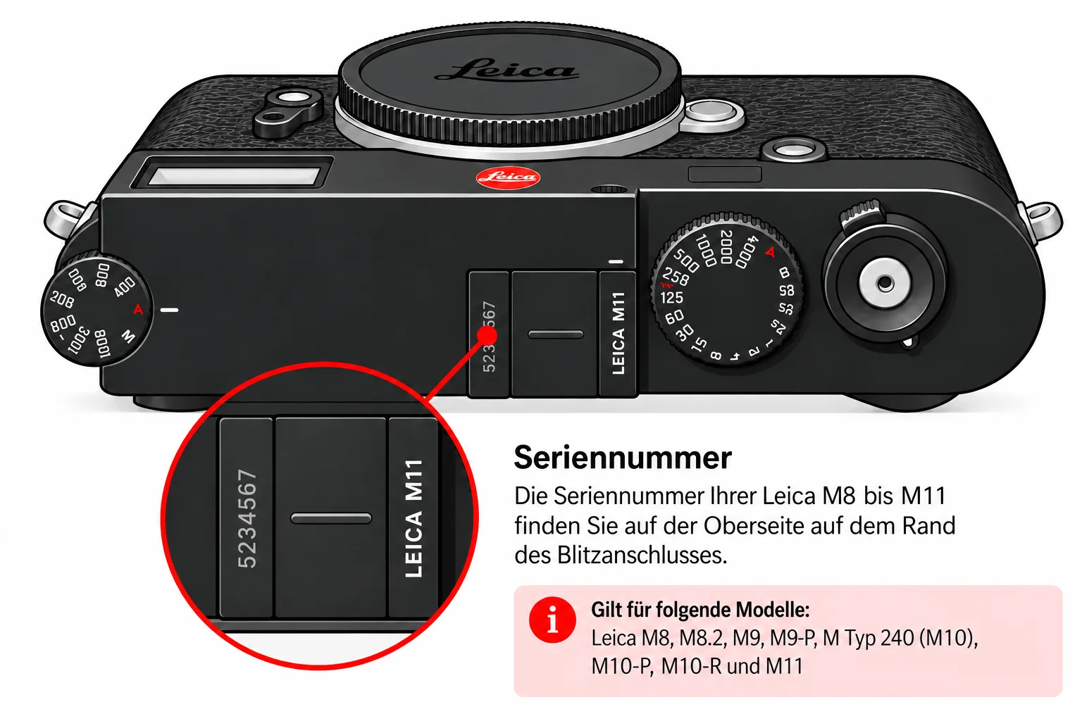 Position der Seriennummer bei digitalen Leica M Kameras von M8 bis M11